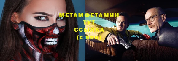 шишки Богородицк