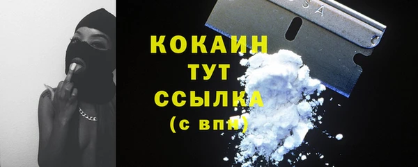 шишки Богородицк