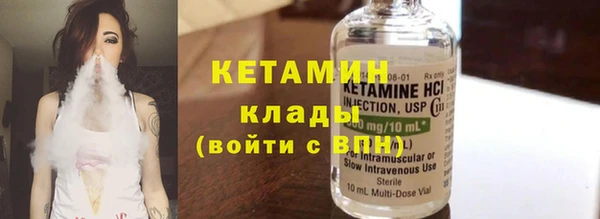 шишки Богородицк