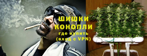 эйфоретик Богородск