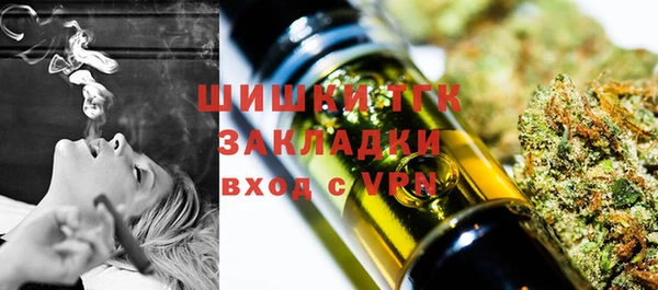 Альфа ПВП Бугульма