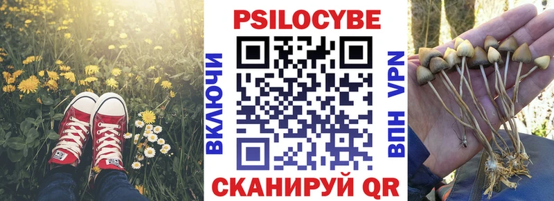 Галлюциногенные грибы прущие грибы  ссылка на мегу как войти  Волосово 